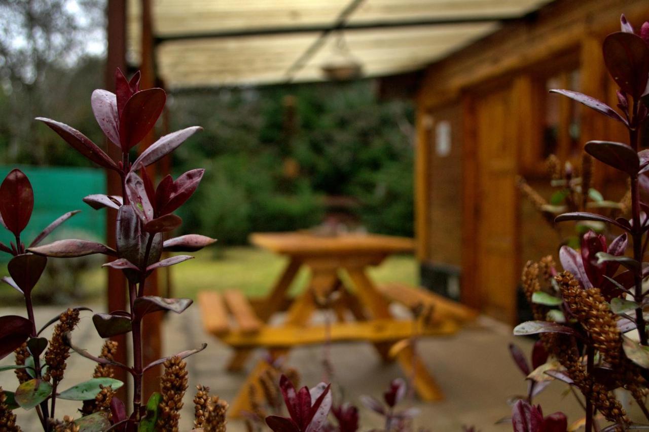 Cabanas Casiopea Lago Puelo Eksteriør billede